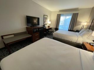 Comfort Inn & Suites Brevard North - 3