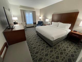 Comfort Inn & Suites Brevard North - 1