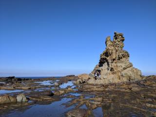 A home away from home - Inverloch - 6