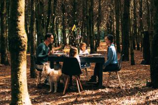Boscoso Hotel Boutique - Valle de Bravo - 3