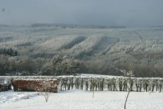 The View - Francorchamps - 8