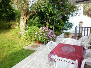 Rooms Villa Desa - Budva - 5