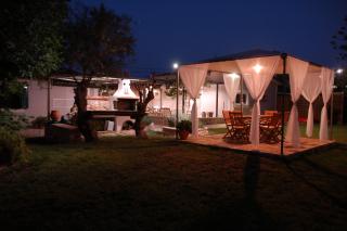 Domenica Apts I - Laganas - 1