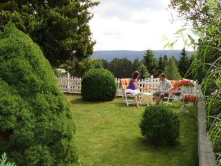 Ferienhaus Wurzelbergblick - Masserberg - 4