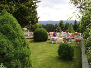 Panoramaferienwohnung Bergwiese - Masserberg - 6