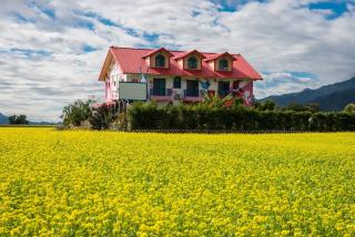 關山稻香田園民宿 - 0