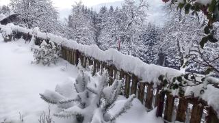 Ferienhaus Waldhof - 5