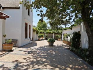 Avontuur Manor House and Wine Estate - Somerset West - 5