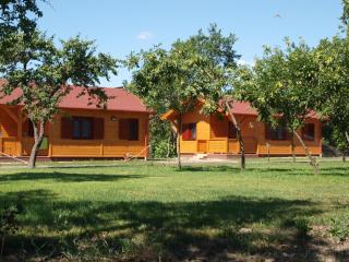 Árnyas Thermal Camping és Üdülőpark - Püspökladány - 9