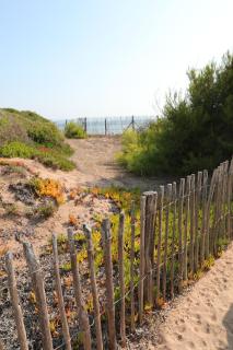 Salines - Hyères - 2