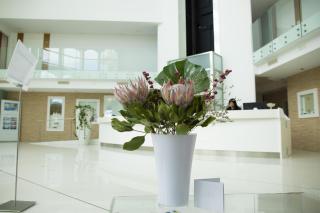 Smeraldo Suites & Spa - San Benedetto del Tronto - 6