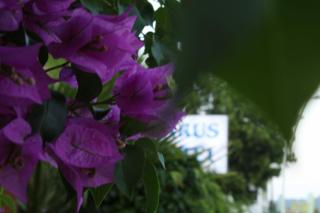 Parus Hotel - Kemer - 8