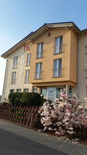 Hotel Ackermann - Riedstadt - 9