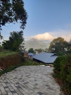 Ottway Hills Near Mattupetty Dam - Munnar - 8
