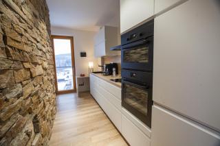 Apartment No25 Residence Javor - Železná Ruda - 3
