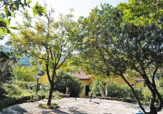 LE MAREE SANSONE SUL MARE - Portoferraio - 4