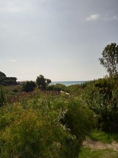 Santa Maria - Vitalades - 1