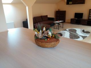 Premier Apartment - Satu Mare - 2