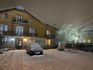 Manana Japaridze's Guesthouse - 1