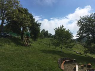 Rose Hip Hill Farm - Valea Tîrnei - 3