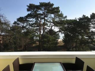 Villa Caprivi - Ferienwohnung 11 C - Heringsdorf - 6