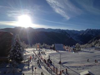 Un Isard au Pied des Pistes - 6