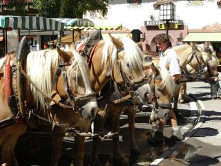 Country House in Seefeld near Ski Resort - 9