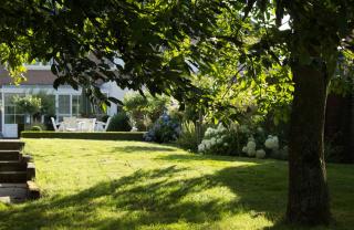 B&B Den Boomgaard Moorsel - Moorsel - 6