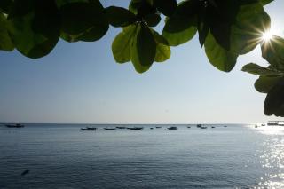 Cham Island Smiles Homestay - Tân Hiệp - 9