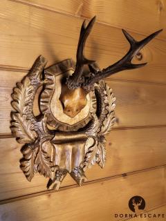 Montana Lodge - Dorna Escape - Dorna Arini - 1