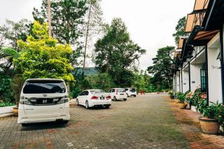 Casadela Rosa - Cameron Highlands - 1
