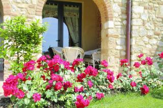 Agriturismo San Lorenzo - Serre di Rapolano - 1