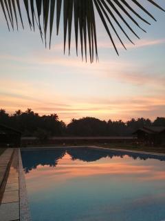Radhika Eco Resort(Odonata) - 0