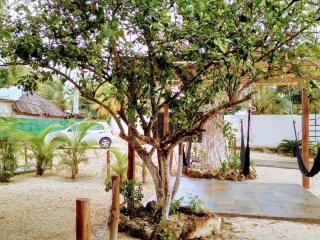 Cedro Rojo - Bacalar - 9
