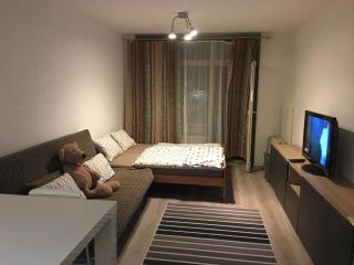 Apartmán Čertovka - Harrachov - 2