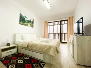 Forest View Oasis - Braşov - 0