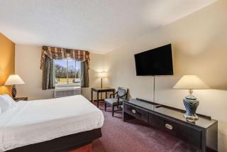 Econo Lodge Whitehall near Michigan's Adventure - 4