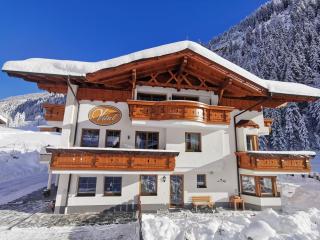 Alpenchalet Vital - Neustift im Stubaital - 0