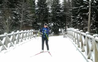 Kalustettu kolmio Alfred - 7