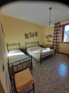 L'Agrifoglio di Emy - 8