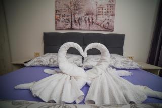 Apartman S13 Vila Pekovic - 8