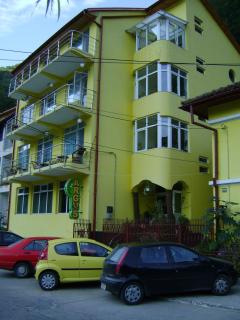 Pensiunea Argus - Băile Herculane - 3