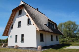 Fewo-Hiddenseeblick - Dranske - 5
