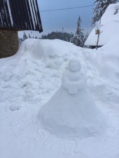Apartments Villa Deja - Jahorina - 7