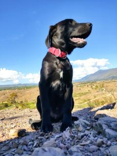 Casa Hotel Villa Bonita - 2