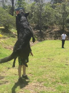 Casa Hotel Villa Bonita - 1