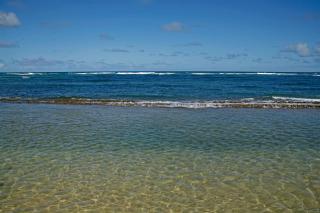 OceanFront Kauai - Rhythm TVNC 4288 - 7