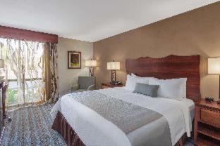 Wyndham Visalia - Visalia - 7