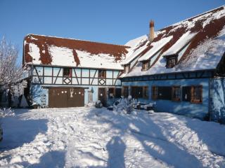 Le Gîte bleu - Willgottheim - 0