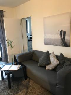 Helle Wohnung mit Balkon - Pachten - 9